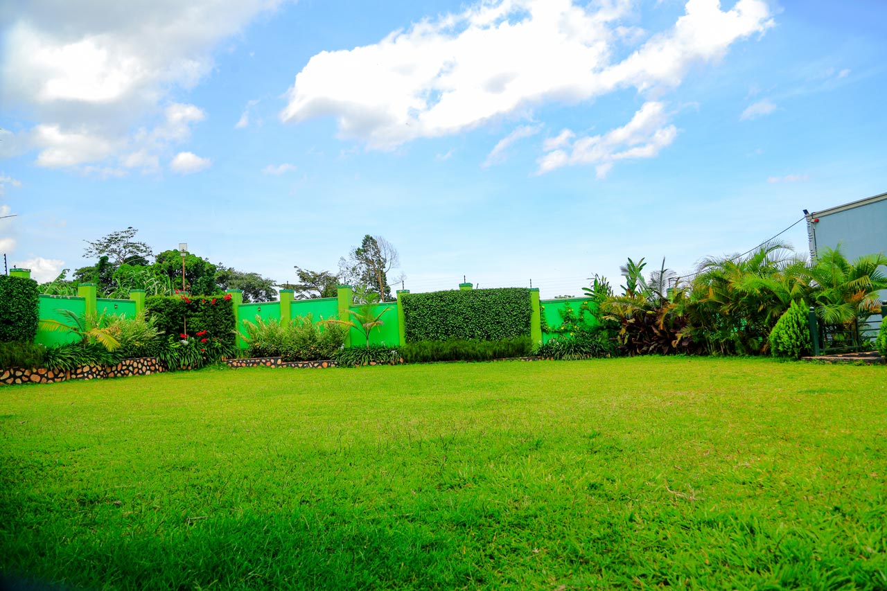Garden Feature